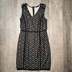 The Limited black polka dot dress with zipper back. Size M